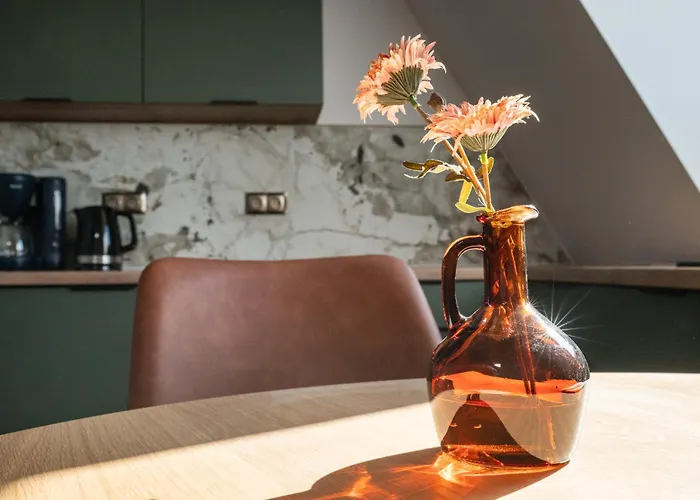 شقة فندقية Franciszkanska 24 3*